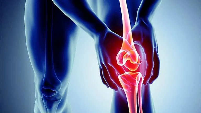 Sụn khớp là gì và tại sao sự "hao mòn" của nó lại gây đau đớn?